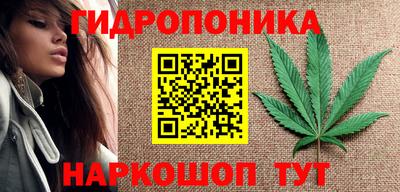 мяу мяу мука Кинель