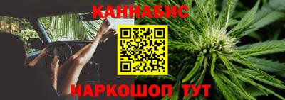 мяу мяу мука Кинель
